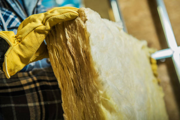Best Specialized Insulation Services in Miramar Beach, FL